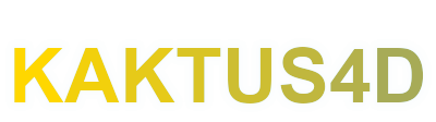 kaktus4d logo