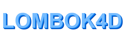 lombok4d logo