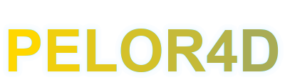 pelor4d logo