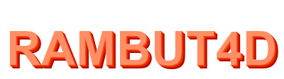 rambut4d logo