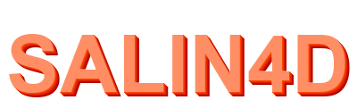 salin4d logo