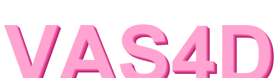 vas4d